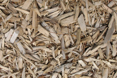 biomass boilers Bunarkaig